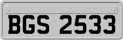 BGS2533