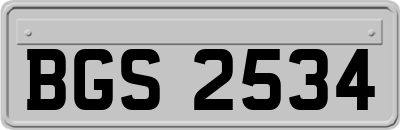 BGS2534