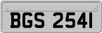 BGS2541