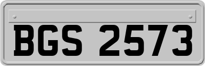 BGS2573