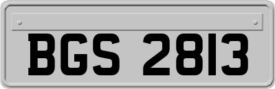 BGS2813