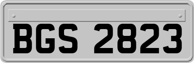 BGS2823