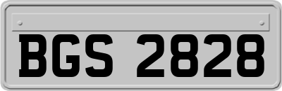 BGS2828
