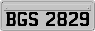 BGS2829