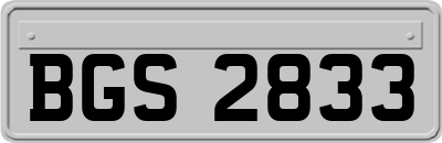 BGS2833