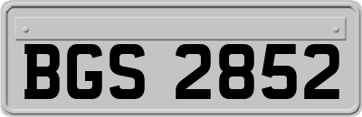 BGS2852