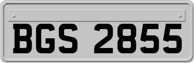 BGS2855