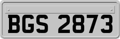 BGS2873
