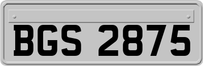 BGS2875