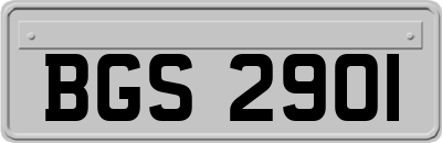 BGS2901