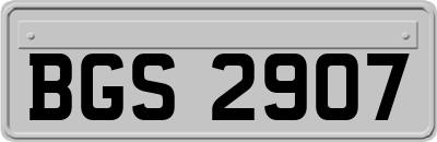 BGS2907