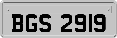 BGS2919