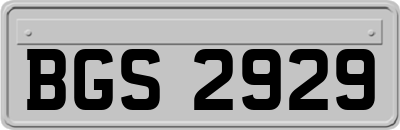 BGS2929