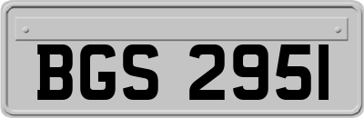 BGS2951
