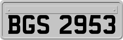 BGS2953