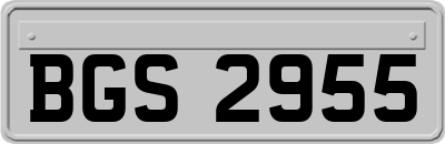 BGS2955