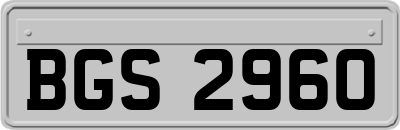 BGS2960