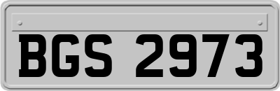 BGS2973