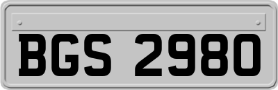 BGS2980
