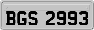 BGS2993