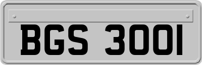 BGS3001
