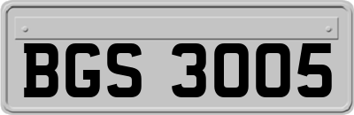 BGS3005