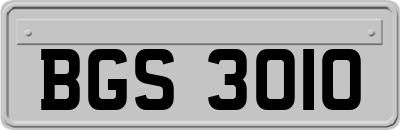BGS3010