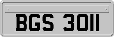 BGS3011