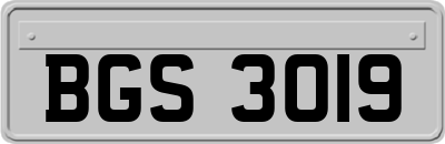 BGS3019