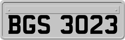 BGS3023