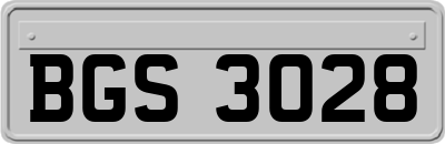 BGS3028