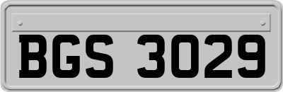 BGS3029