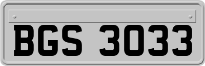 BGS3033