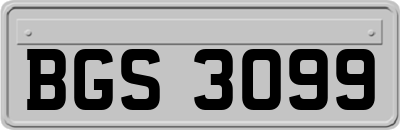 BGS3099