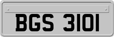 BGS3101