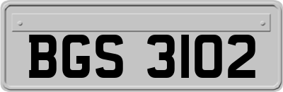 BGS3102