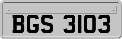 BGS3103