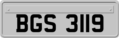 BGS3119