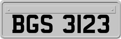 BGS3123