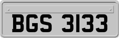 BGS3133