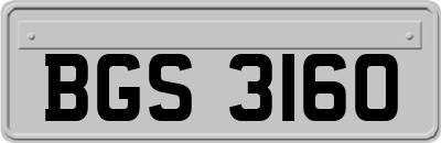 BGS3160