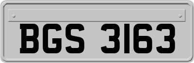 BGS3163
