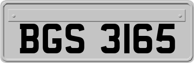 BGS3165