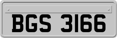 BGS3166