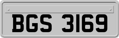 BGS3169