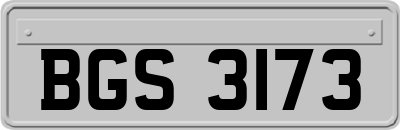 BGS3173