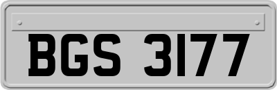 BGS3177
