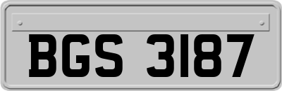 BGS3187