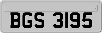 BGS3195