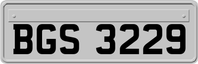 BGS3229